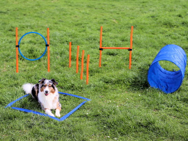 Agility Dog Trainings Set X für Hunde